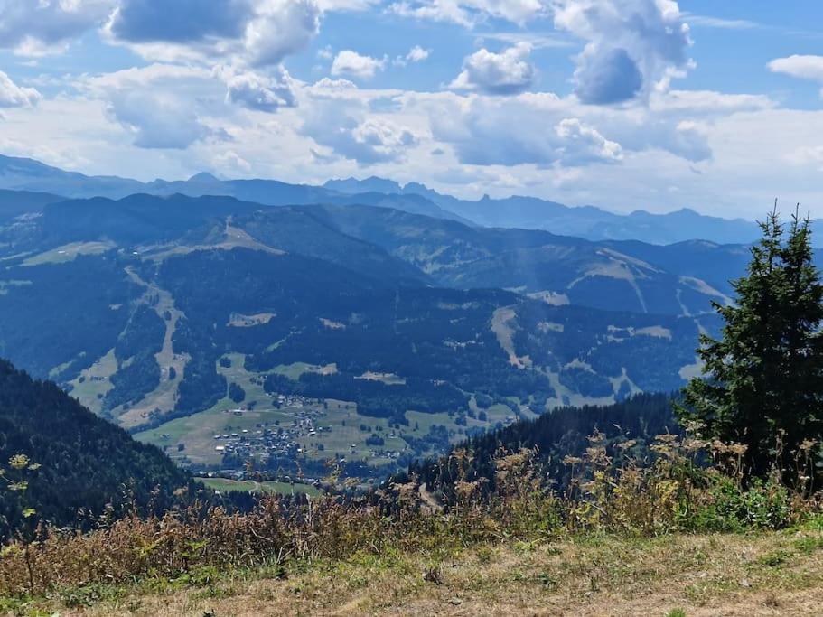 Appartement La Duchère Le Plan-la Giettaz massif des Aravis Esterno foto