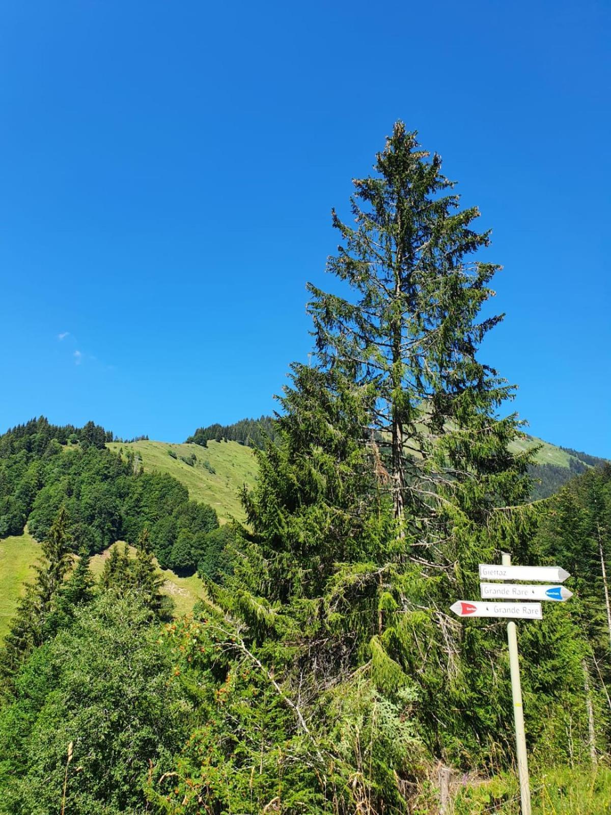 Appartement La Duchère Le Plan-la Giettaz massif des Aravis Esterno foto